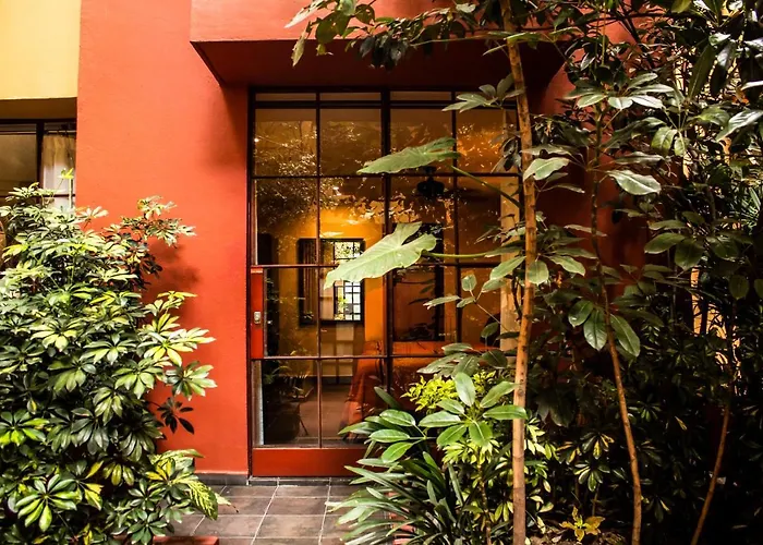 The Red Tree House Bed & Breakfast Mexico City